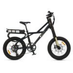 quanto costa bici elettrica