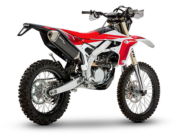 XEF 250 Enduro - immagine 2