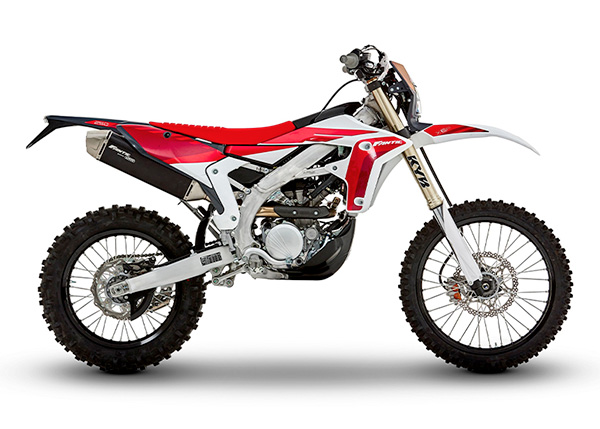 XEF 250 Enduro - immagine 3
