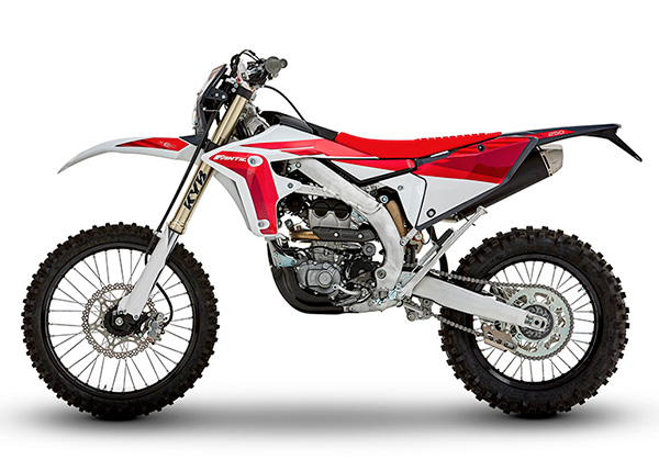 XEF 250 Enduro - immagine 4