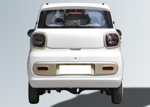 Desner y300 - immagine 6